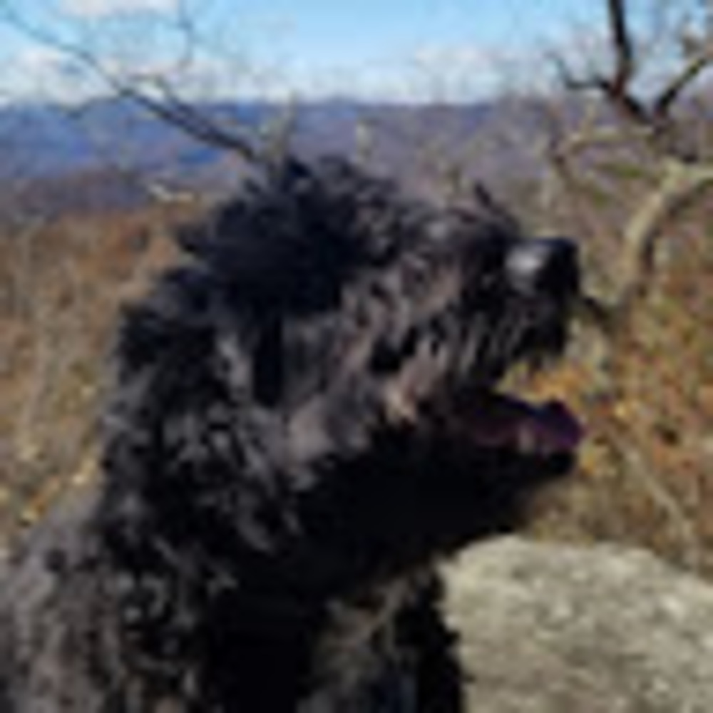 Meet your Posher, Lorne